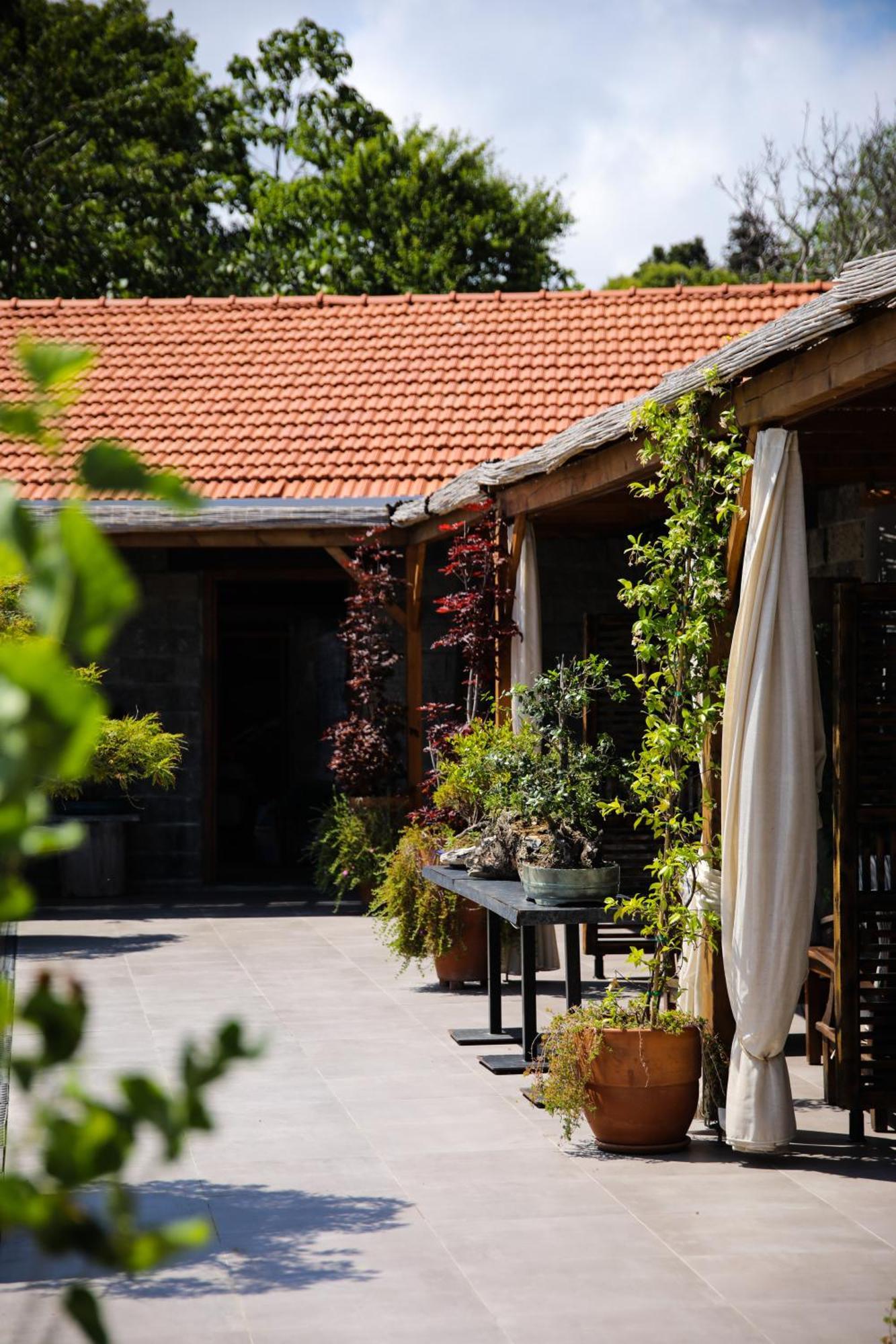Mavi At Hotel Blue Horse Gumusdere エクステリア 写真